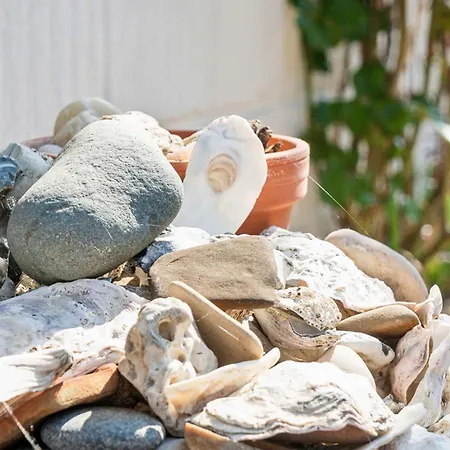 Cozy With Fantastic Surroundings *