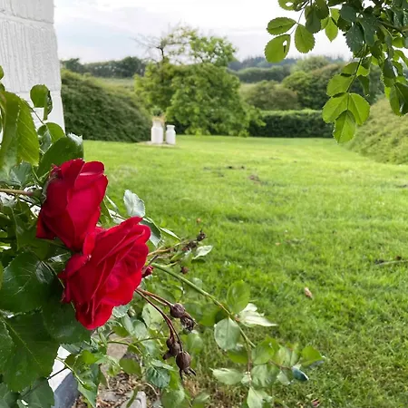 Cozy With Fantastic Surroundings * Farsø