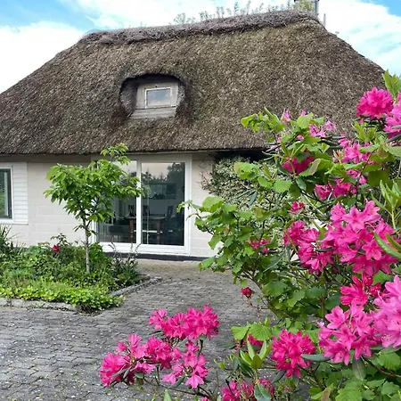 Cozy With Fantastic Surroundings Ferienhaus *
