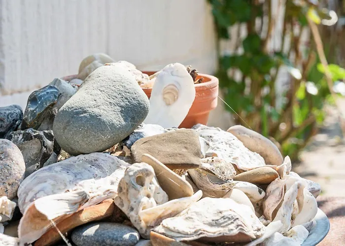 Cozy With Fantastic Surroundings *