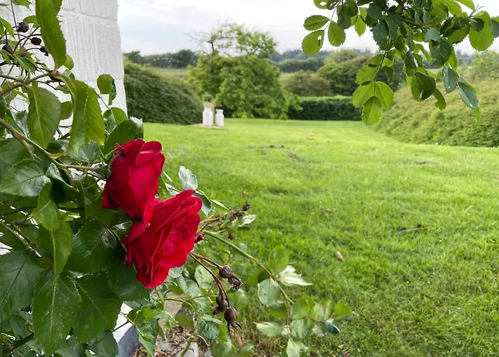 Cozy With Fantastic Surroundings * Farsø